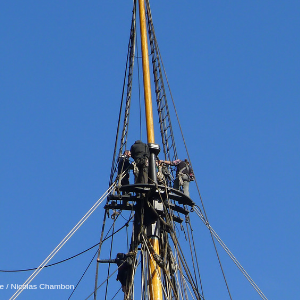 formatactusitewebgrandperroqhiv2018__094522000_1157_12112018