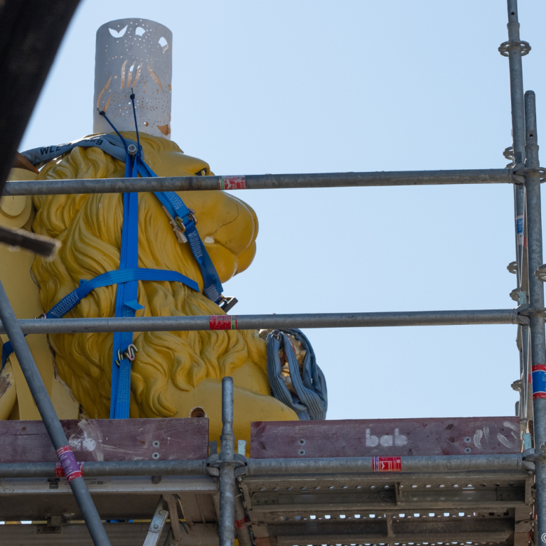 Un lion bien coiffé