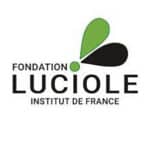 lUCIOLE - OK